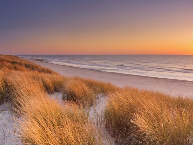 Het Wad mooiste natuurgebied van Nederland