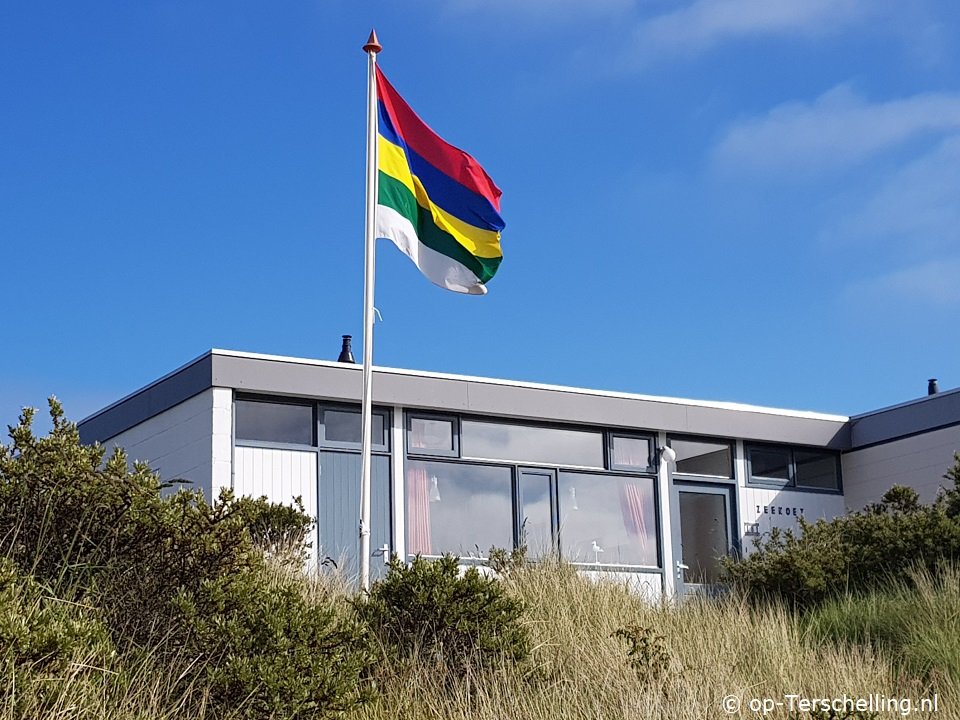 De Zeekoet