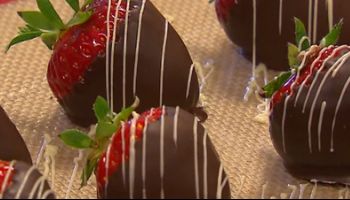 De Texelse Chocolaterie