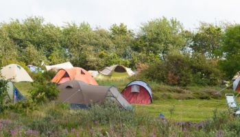 Camping Roosdunen