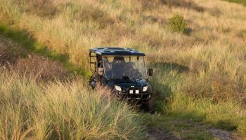 Eco safari