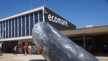 -> photo_of Ecomare, centrum voor wadden en Noordzee