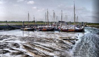 -> photo_of Jachthaven Schiermonnikoog