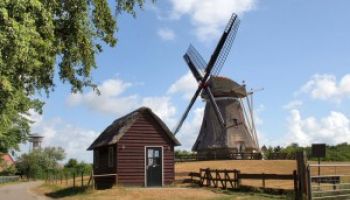 -> photo_of Korenmolen De Phenix