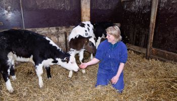 Bezoekboerderij de Gèskieker