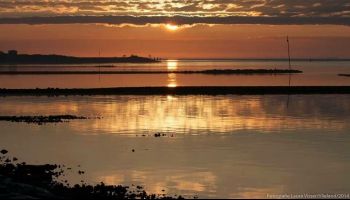 Afbeelding van Tuk Tuk Vlieland