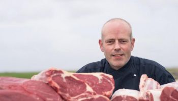 Amelander Lam,  Rund en Wilde Gans De Jong