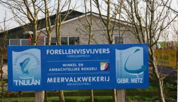 Amelander Meervalkwekerij Gebr. Metz