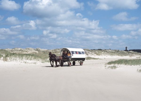 De Noordsvaarderij