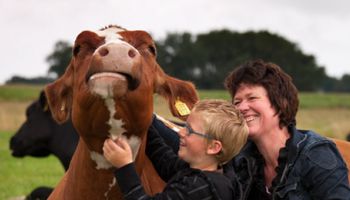Activiteiten Boerderij Hoogezand Texel